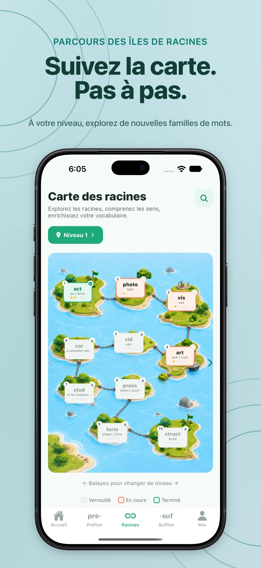 Un monde de racines à explorer