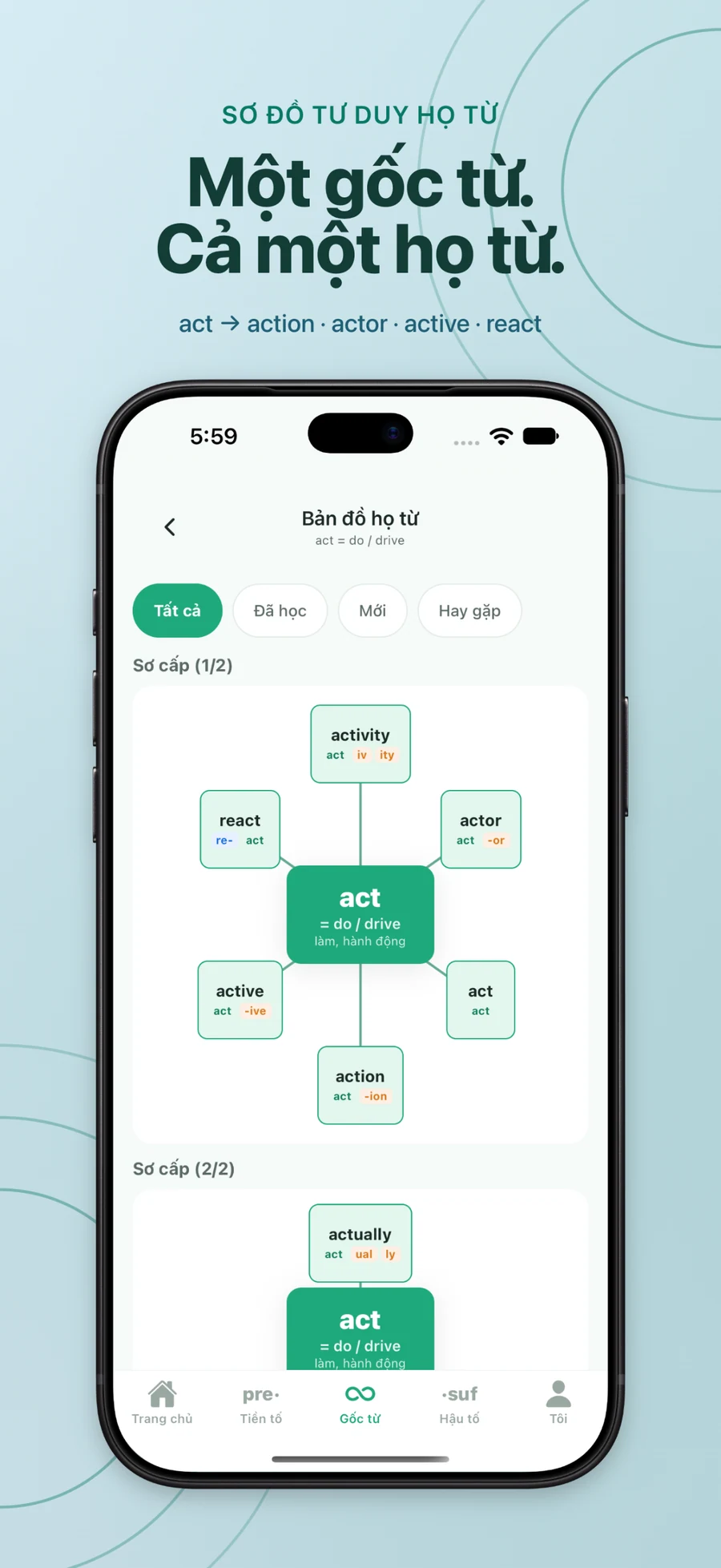Một gốc từ. Cả một họ từ.